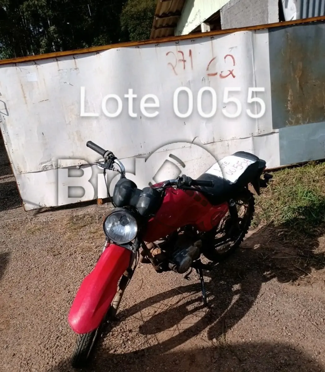 LOTE 055 - SUCATAS AUTOMOTIVAS