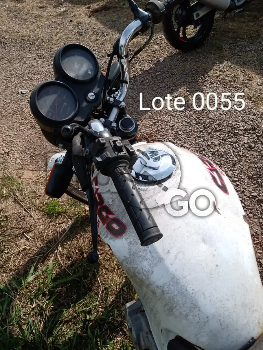 LOTE 055 - SUCATAS AUTOMOTIVAS