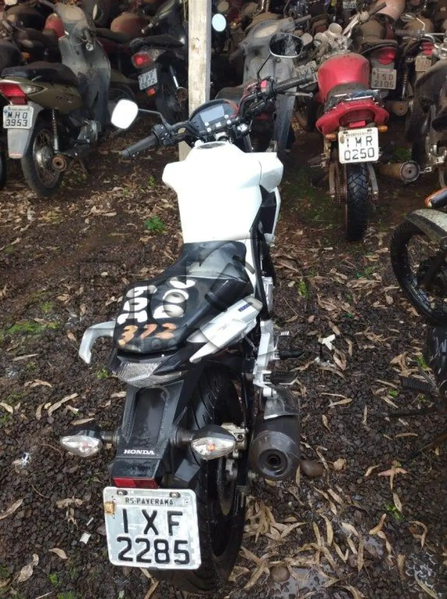 LOTE 109