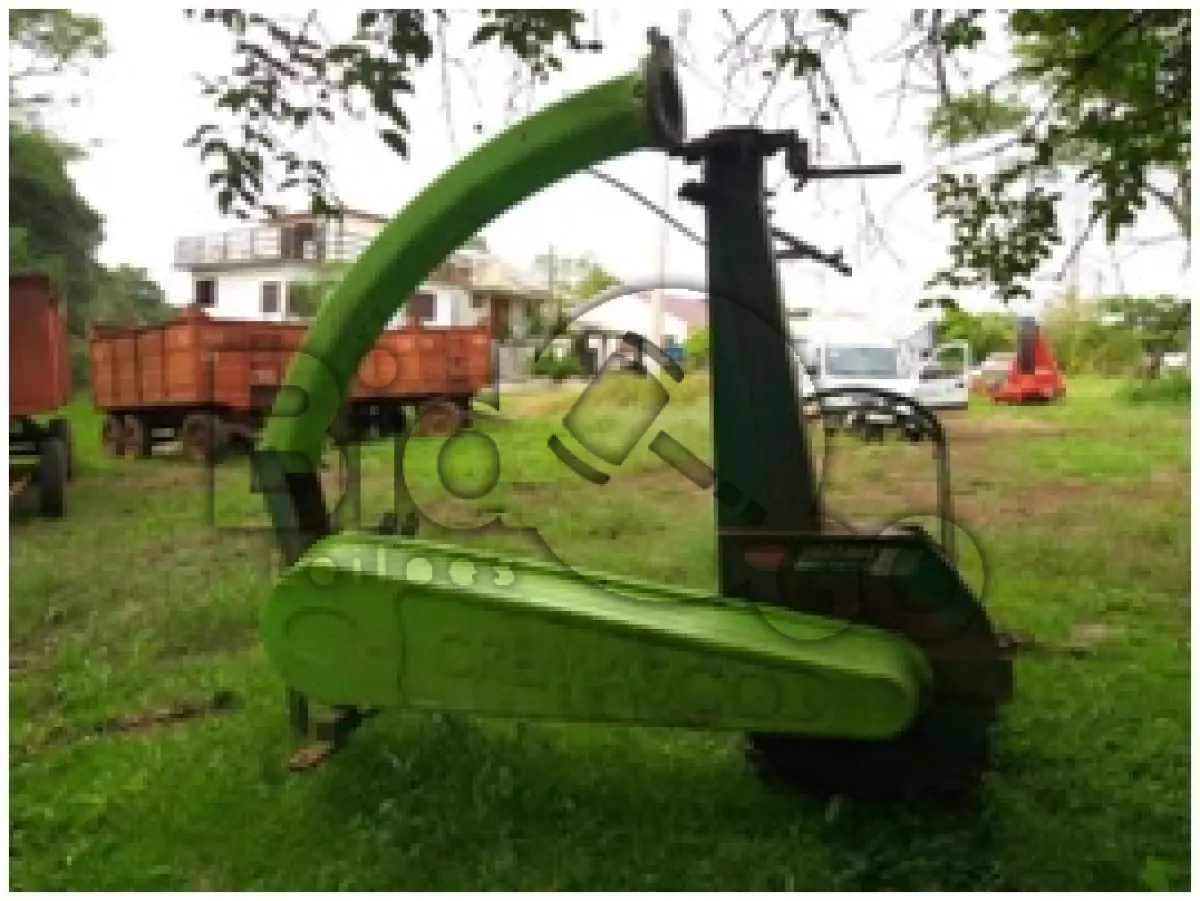LOTE 019