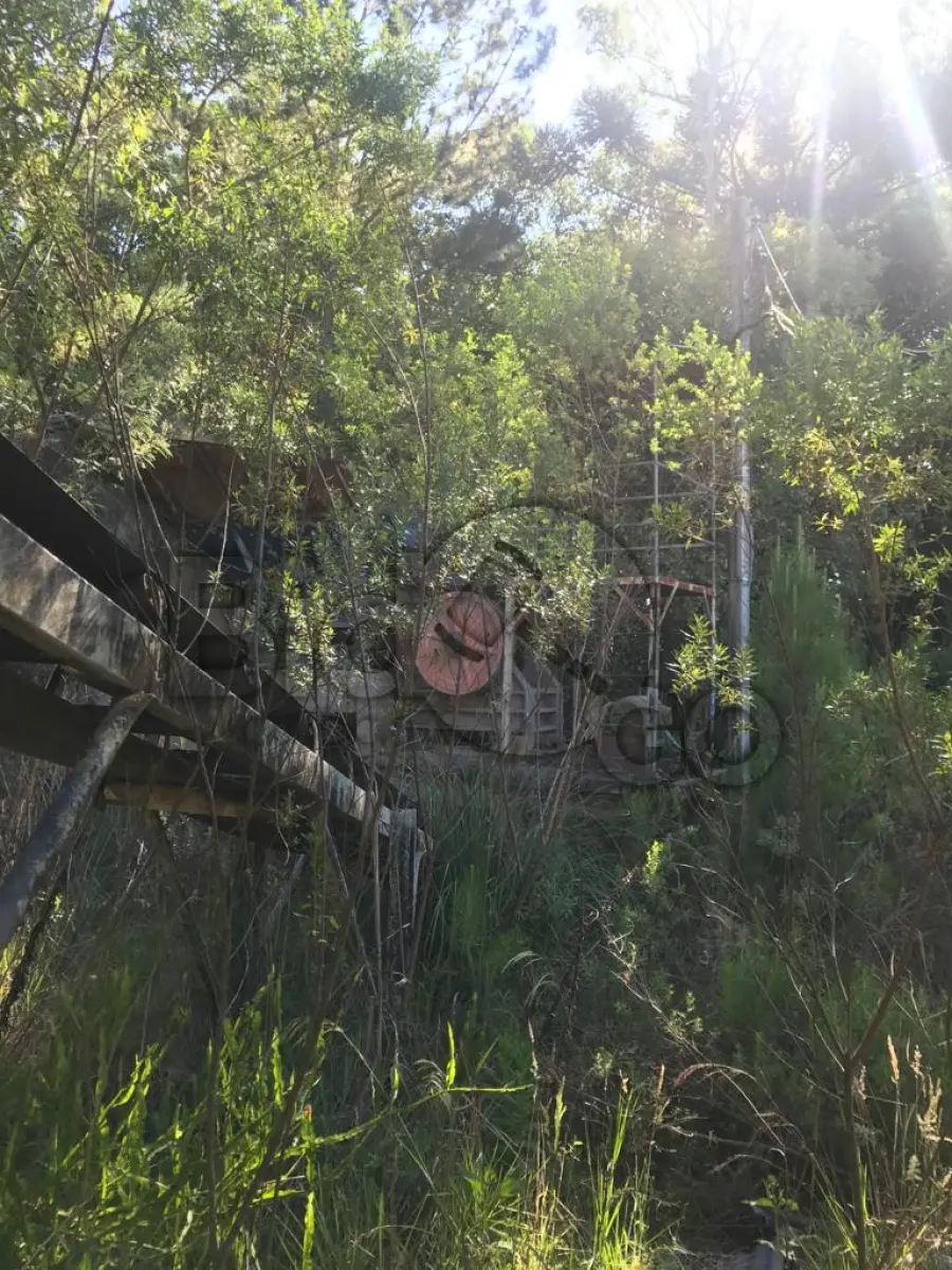 LOTE 014 - Britador