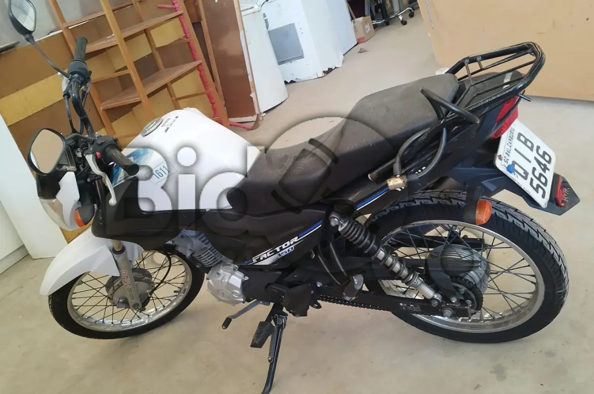 LOTE 029