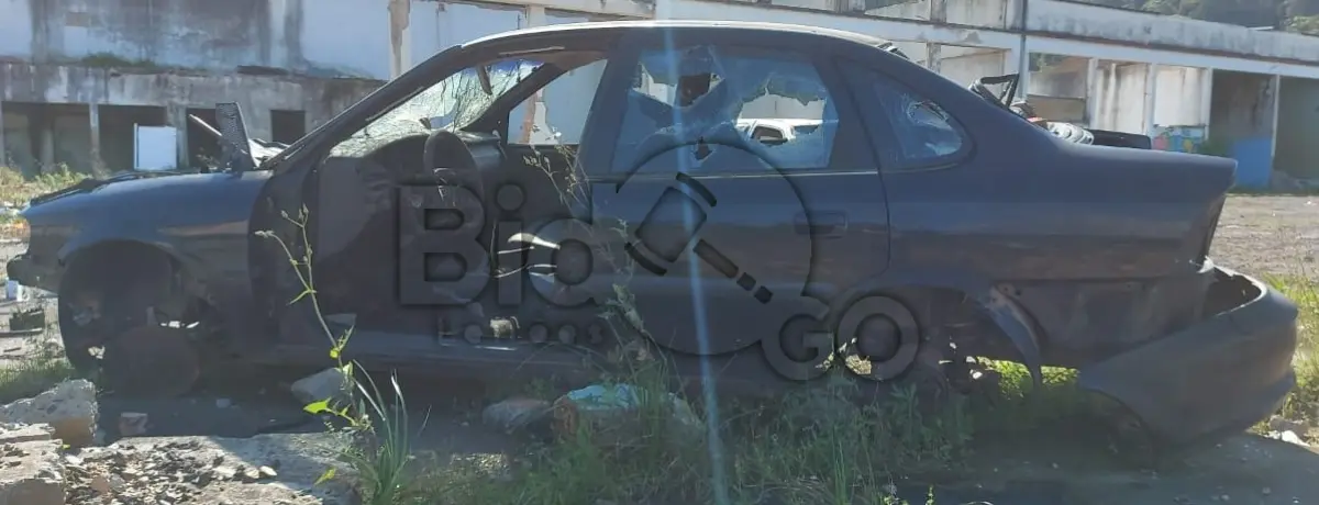LOTE 030 - SUCATA AUTOMOTIVA