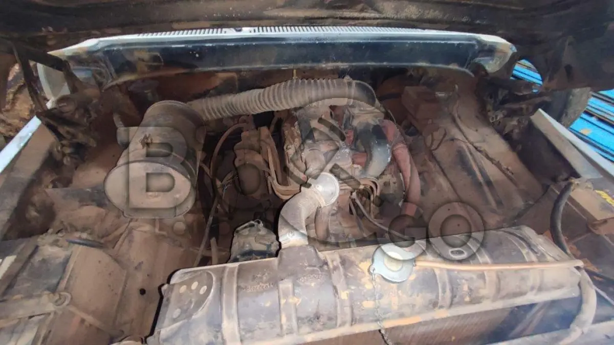 LOTE 001 - CAMIONETA FORD/F1000, Fabricação/Modelo: 1987/1987