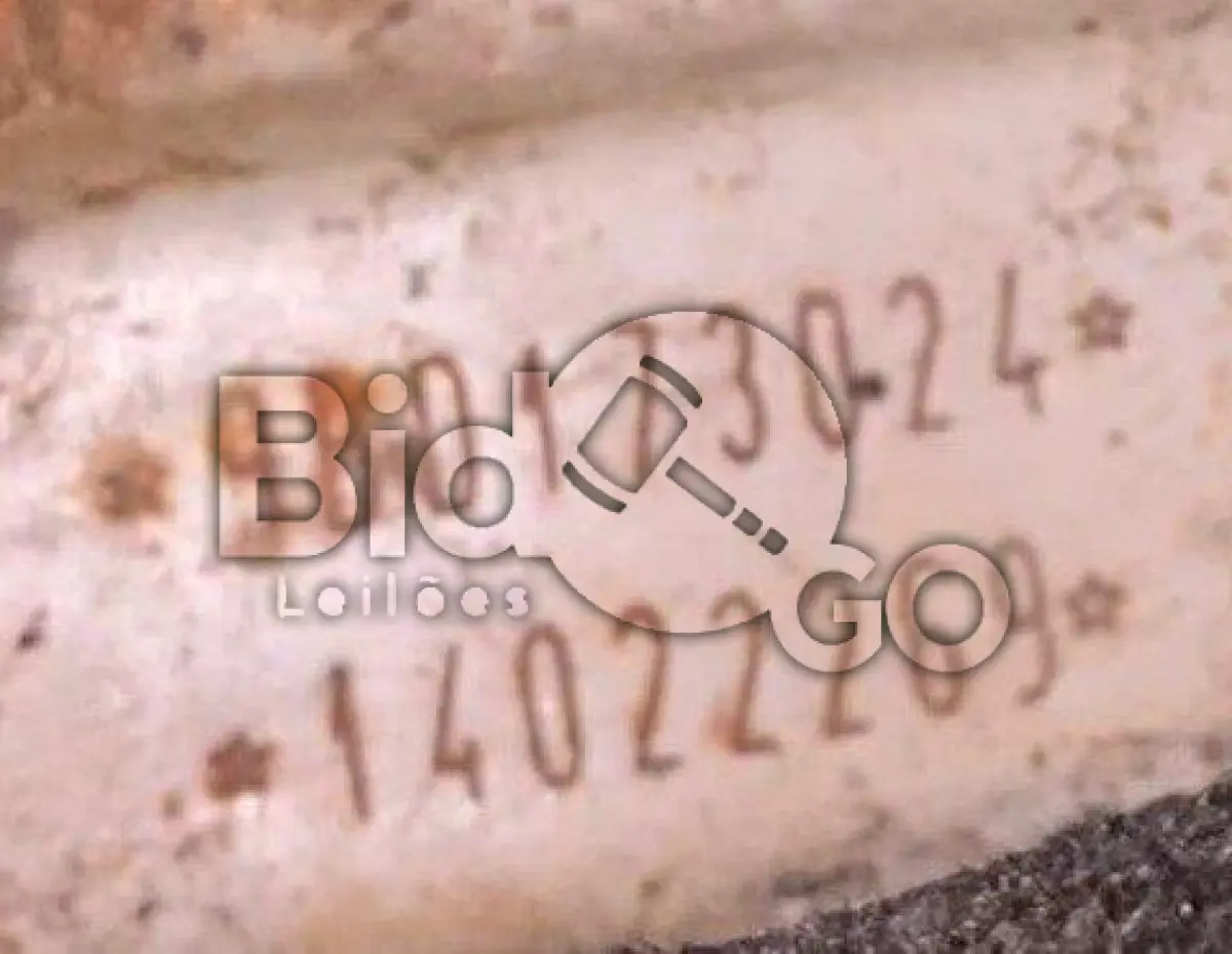 LOTE 009 - Espécie: PASSAGEIRO / Marca: FIAT / Modelo: PALIO WEEKEND ELX / Placa: MBA5F84 / UF: SC / Município: Gaspar / Ano fabricação: 2001 / Ano modelo: 2001 / Cor: PRETA / Chassi: 9BD17302414022269 / Motor: 178D80115158786 / RENAVAM: 760119244
