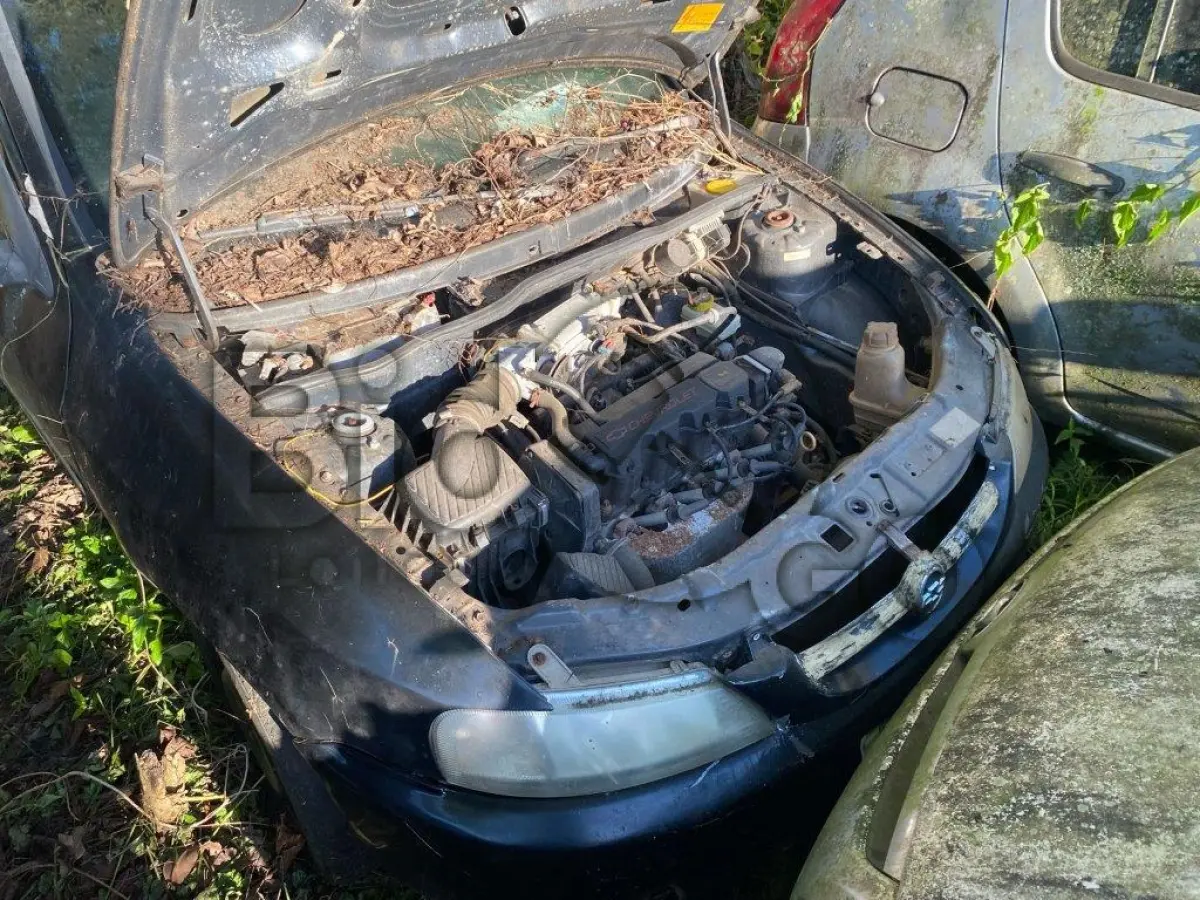 LOTE 007 - Espécie: PASSAGEIRO / Marca: GM / Modelo: CELTA / Placa: MBO0133 / UF: SC / Município: Chapecó / Ano fabricação: 2002 / Ano modelo: 2002 / Cor: PRETA / Chassi: 9BGRD08Z02G167863 / Motor: DJ0118977 / RENAVAM: 00781684889