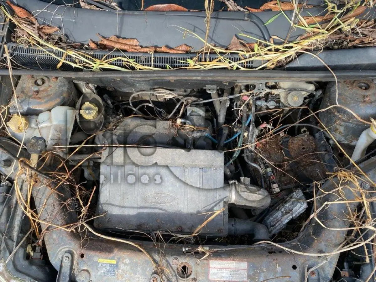 LOTE 008 - Espécie: MISTO / Marca: FORD / Modelo: ECOSPORT XL 1.6FLEX / Placa: ARK8578 / UF: SC / Município: Joinville / Ano fabricação: 2009 / Ano modelo: 2009 / Cor: PRETA / Chassi: 9BFZE55P998530774 / Motor: QF9A98530774 / RENAVAM: 00149952074