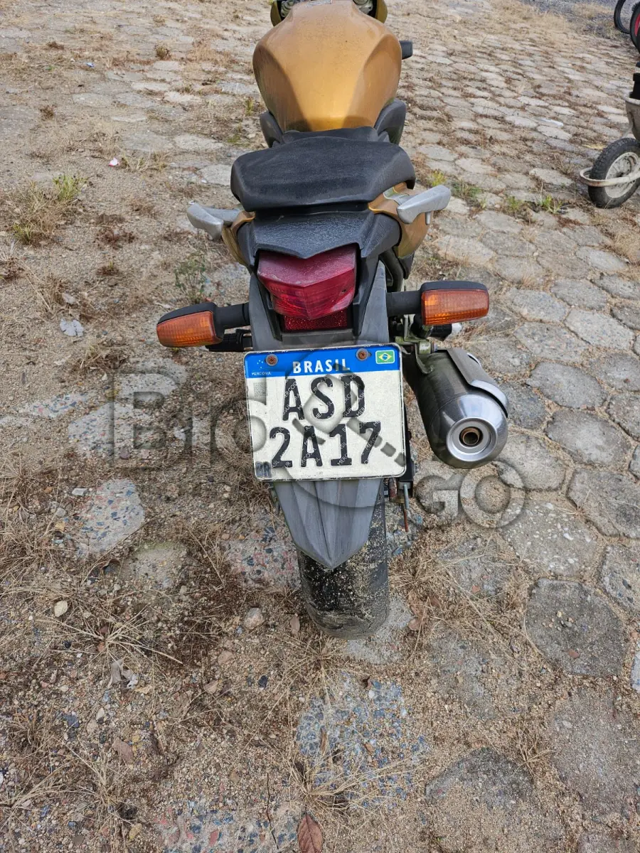 LOTE 015 - Espécie: MOTOCICLETA / Marca: HONDA / Modelo: CB 300R / Placa: ASD2A17 / UF: SC / Município: Jaraguá do Sul / Ano fabricação: 2009 / Ano modelo: 2010 / Cor: AMARELA / Chassi: 9C2NC4310AR038332 / Motor: NC43E1A038332 / RENAVAM: 00189968532