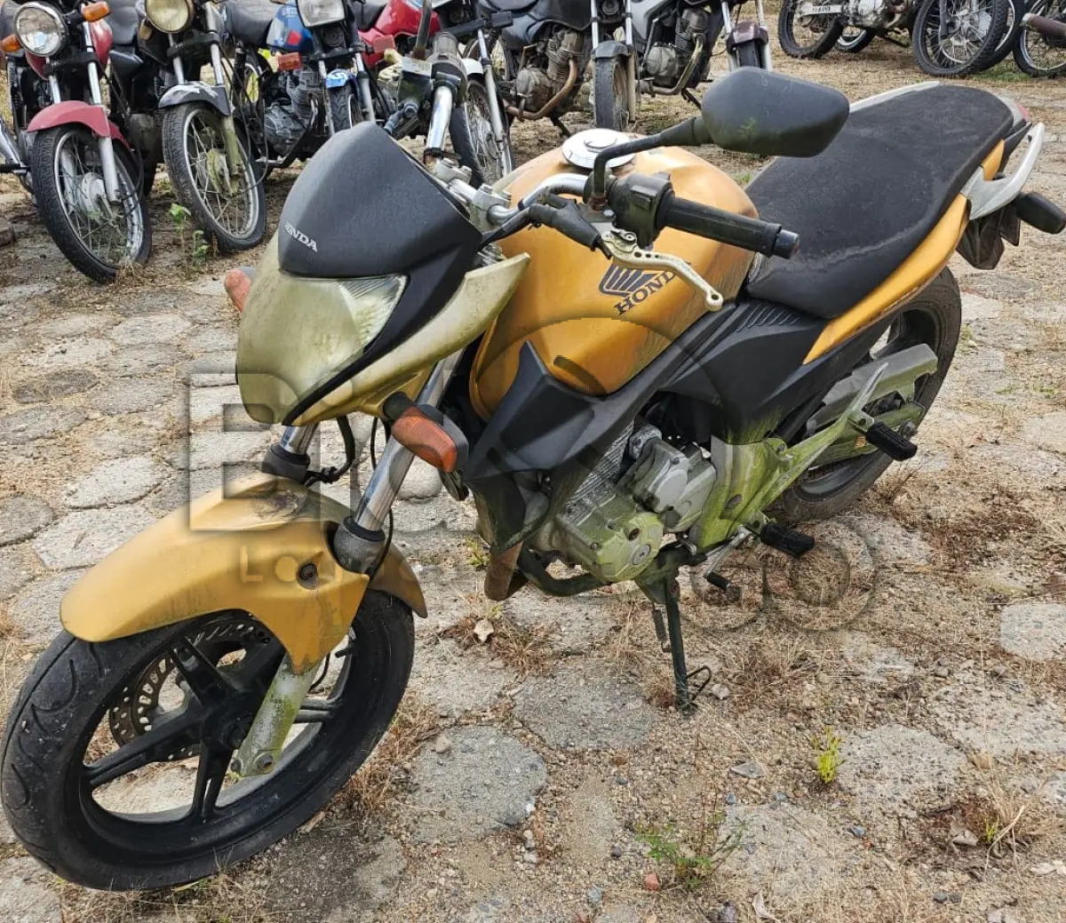 LOTE 015