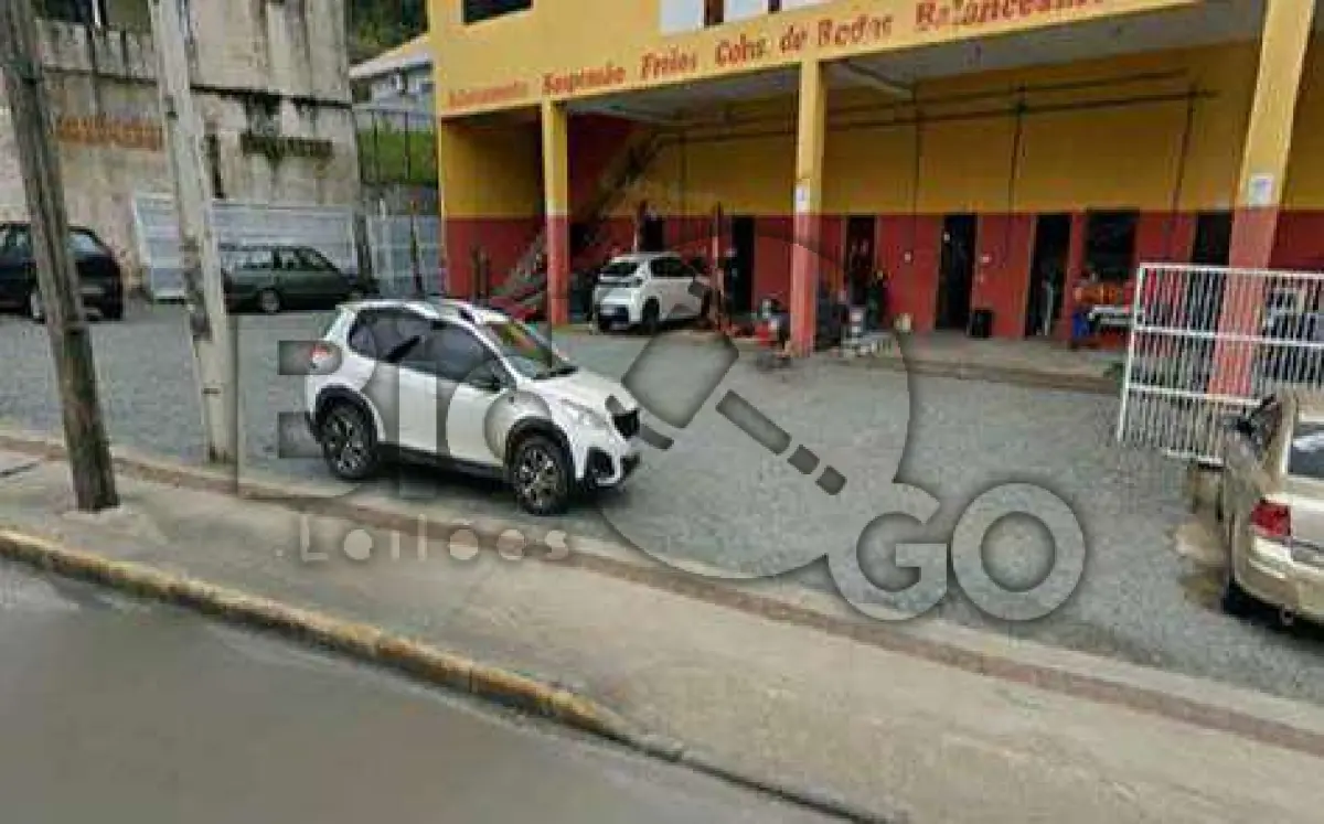 miniatura-2