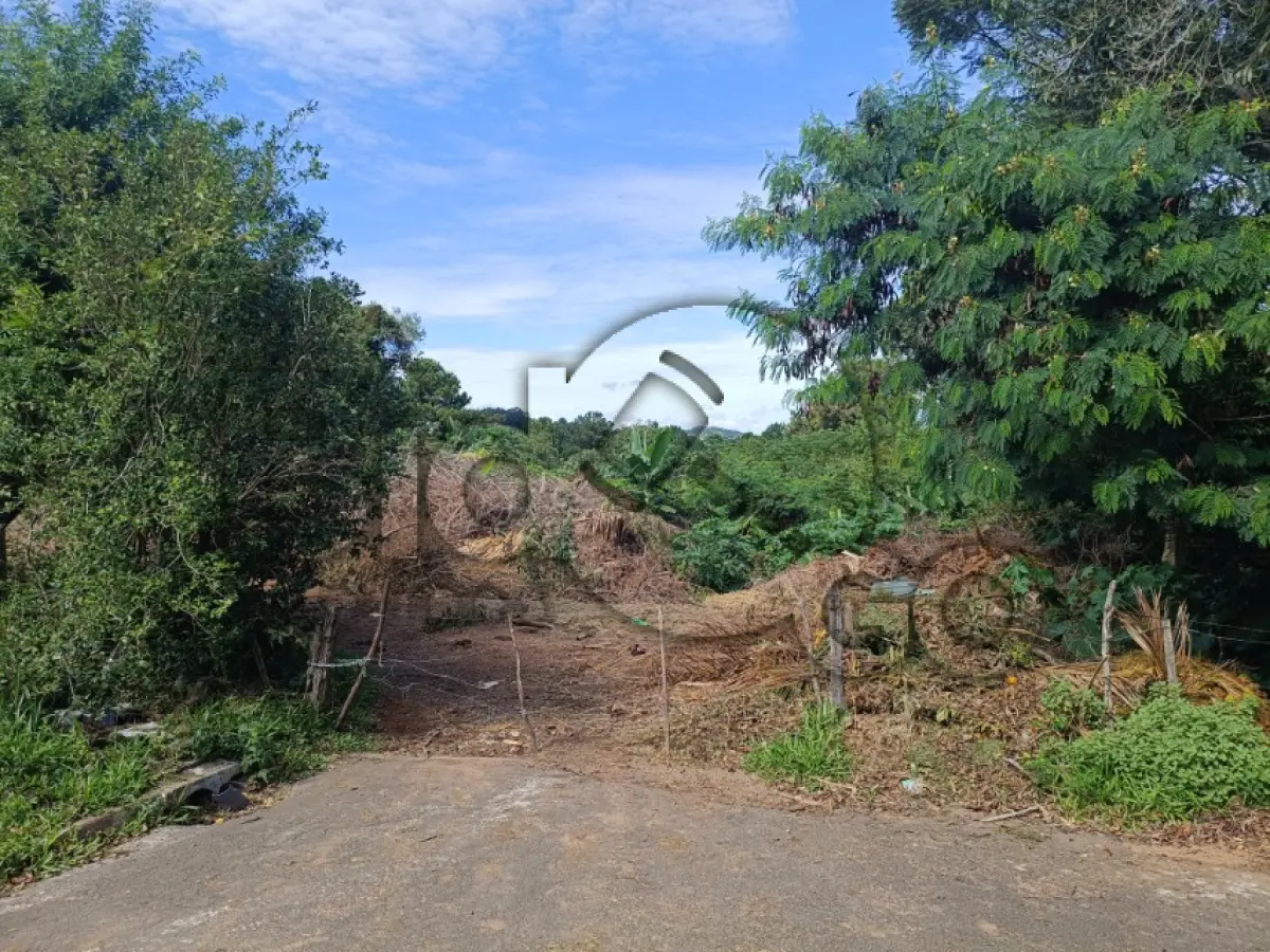 LOTE 001 - Rua Planalto, Lomba Grande, Terreno: 29.582,74 m²,