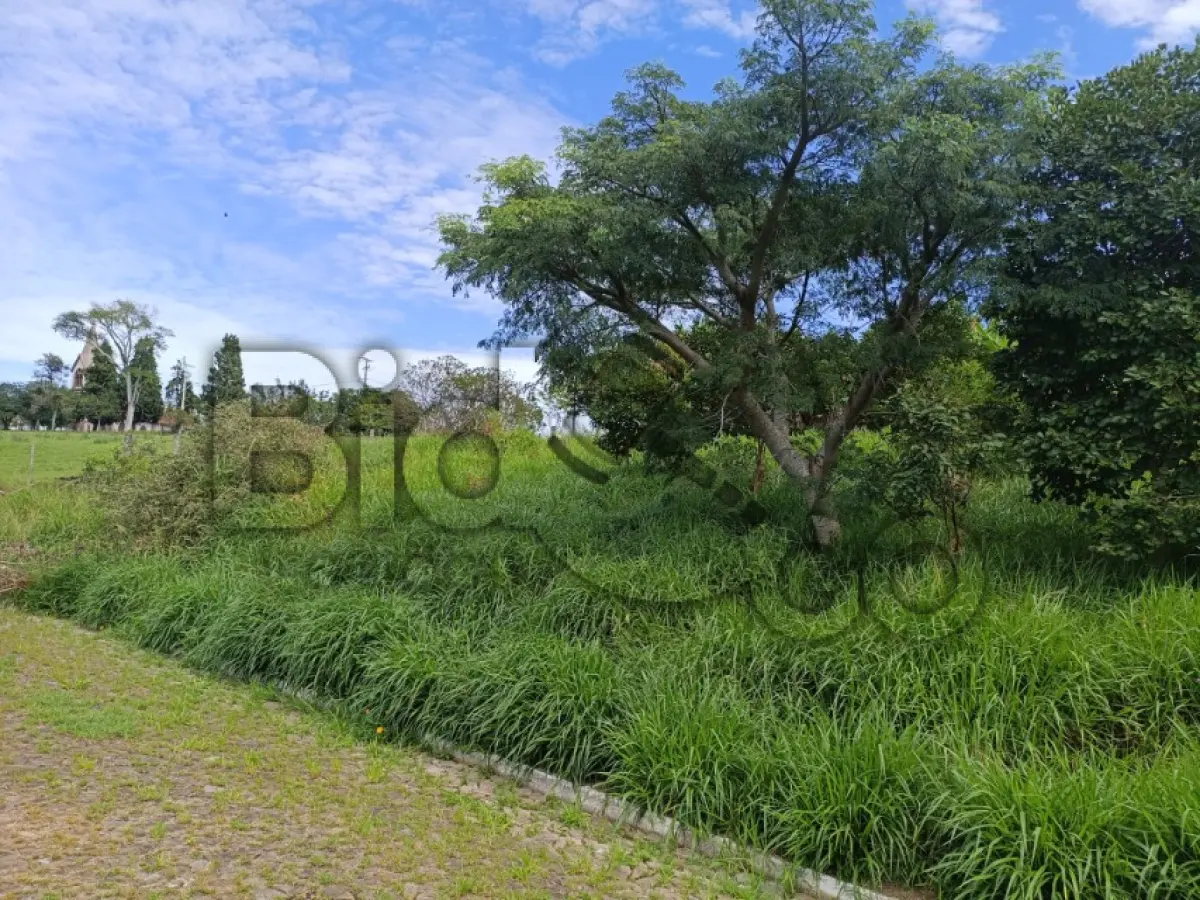 LOTE 002 - Rua Júlio Monzo, Lomba Grande, Terreno: 778,05 m²