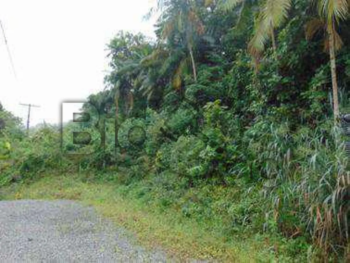 LOTE 005 - Imóvel situado na Rua Otto Boehm (prolongamento), S/N - Bairro Glória,Joinville / SC - Terreno com área de 3.316,60m², sem benfeitorias.