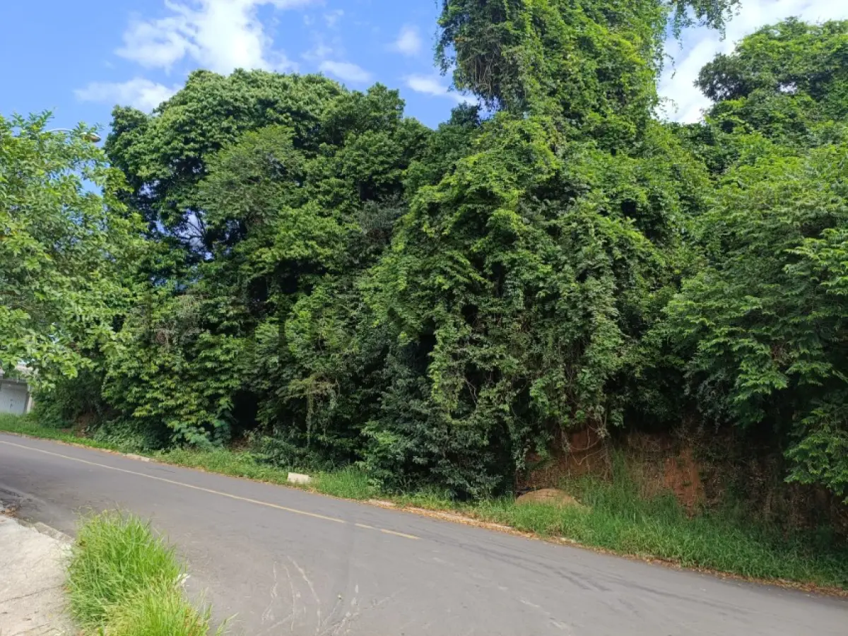 LOTE 003 - Rua Geny Hack S/N, Canudos, Terreno: 2.423,81 m²