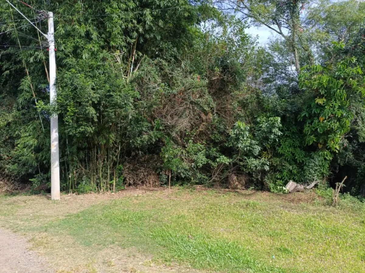 LOTE 004 - Rua Arnoldo Schmidt, Lomba Grande, Terreno: 7.853,50 m²