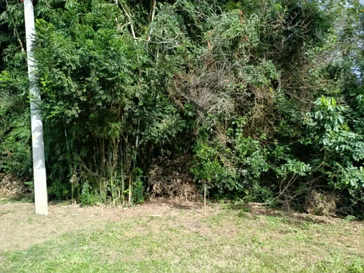 LOTE 004 - Rua Arnoldo Schmidt, Lomba Grande, Terreno: 7.853,50 m²