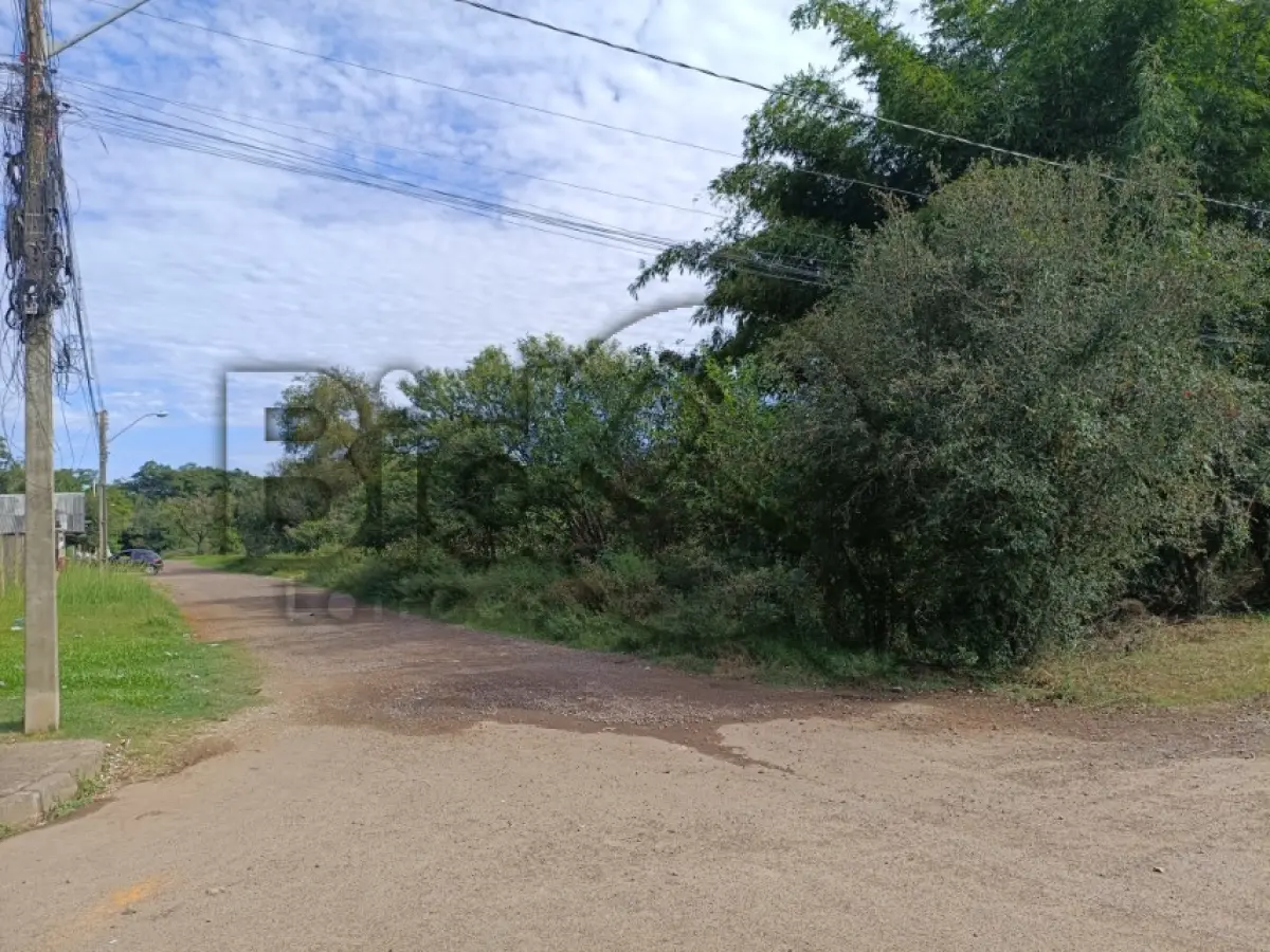 LOTE 004 - Rua Arnoldo Schmidt, Lomba Grande, Terreno: 7.853,50 m²