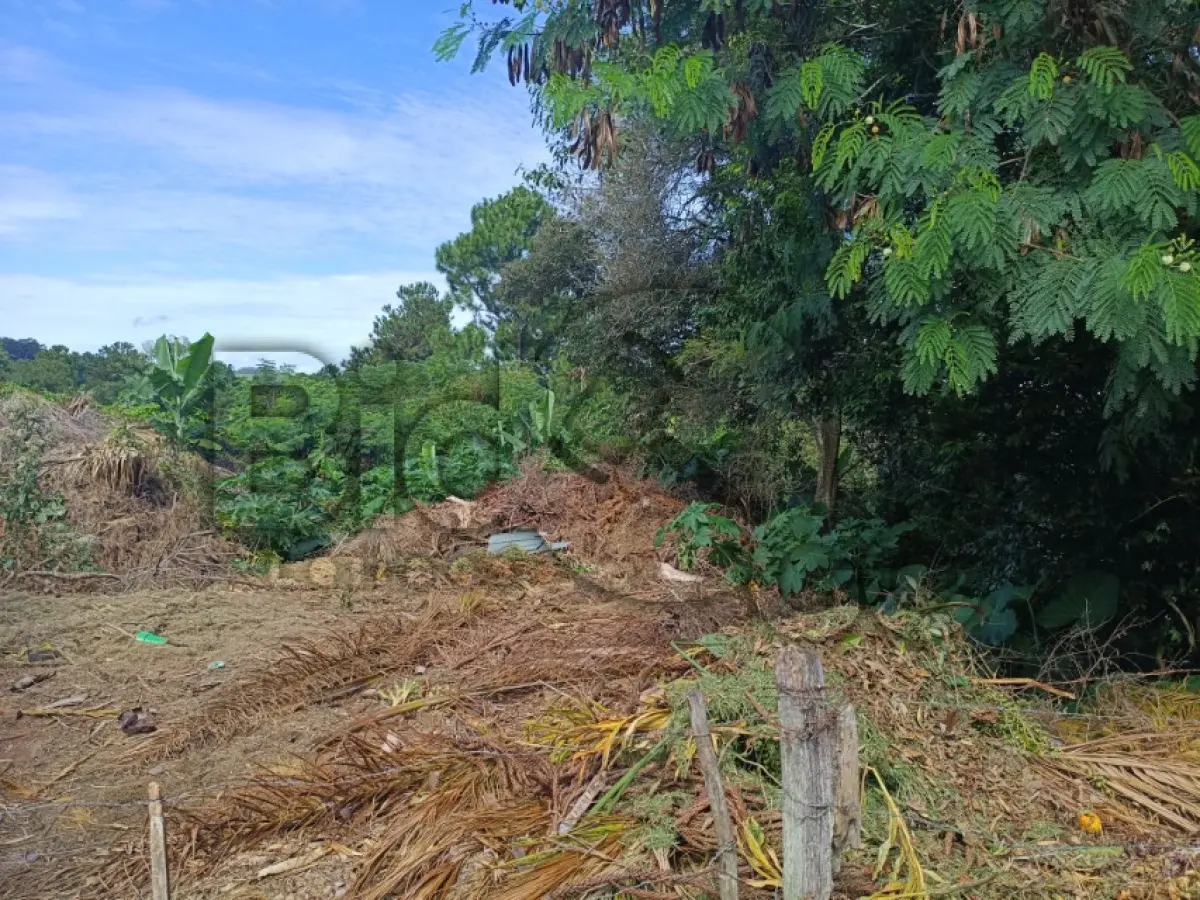 LOTE 001 - Rua Planalto, Lomba Grande, Terreno: 29.582,74 m²,