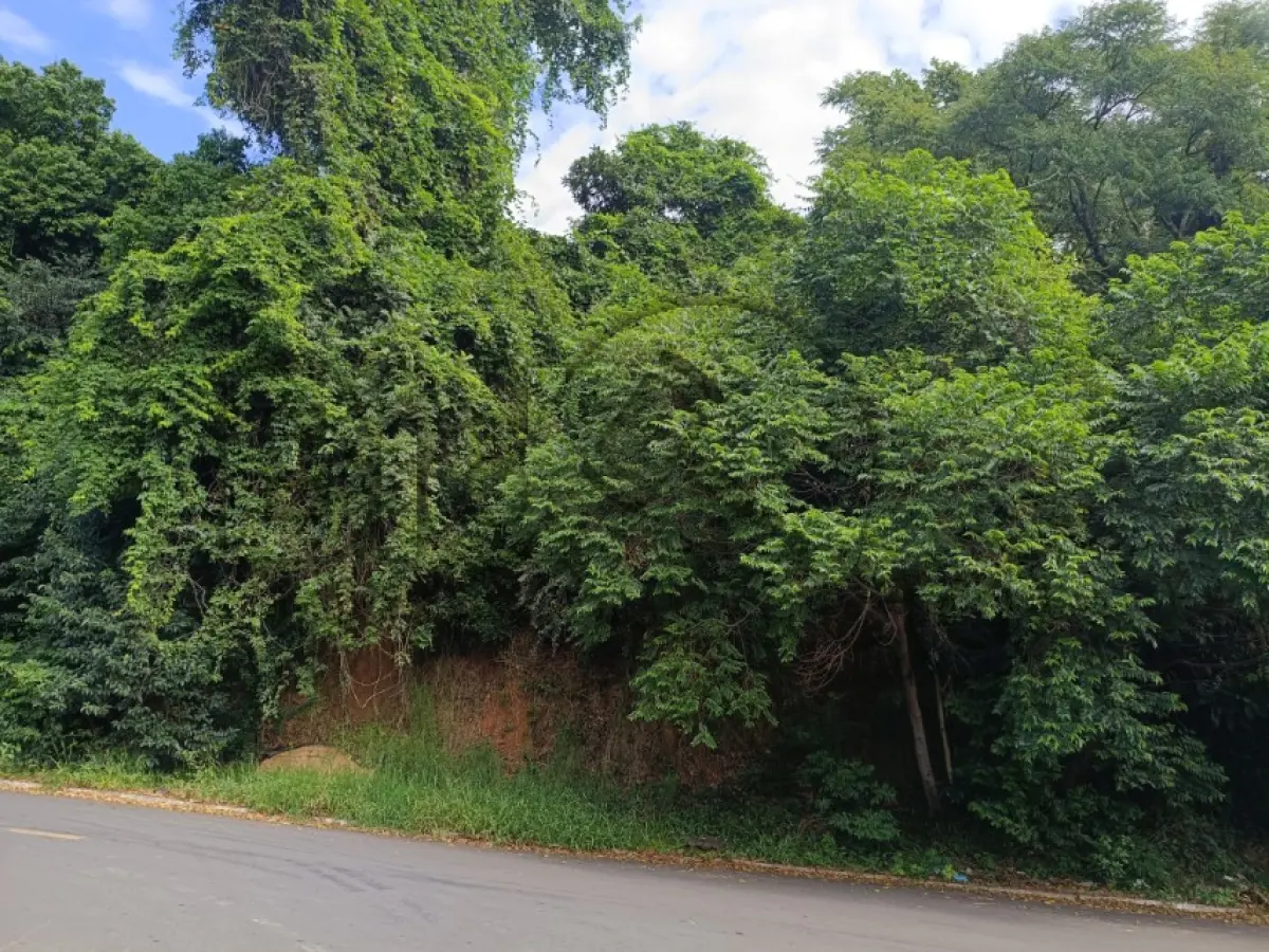 LOTE 003 - Rua Geny Hack S/N, Canudos, Terreno: 2.423,81 m²