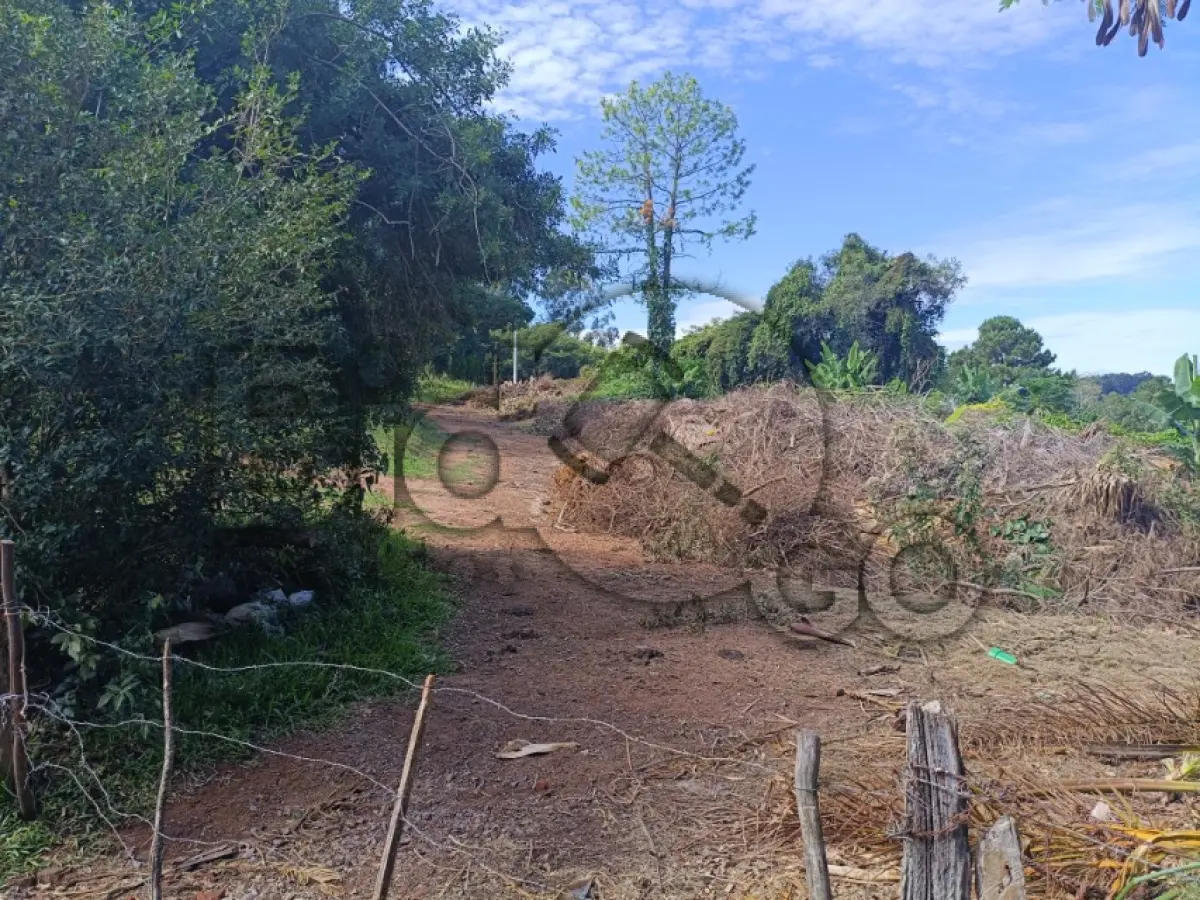 LOTE 001 - Rua Planalto, Lomba Grande, Terreno: 29.582,74 m²,