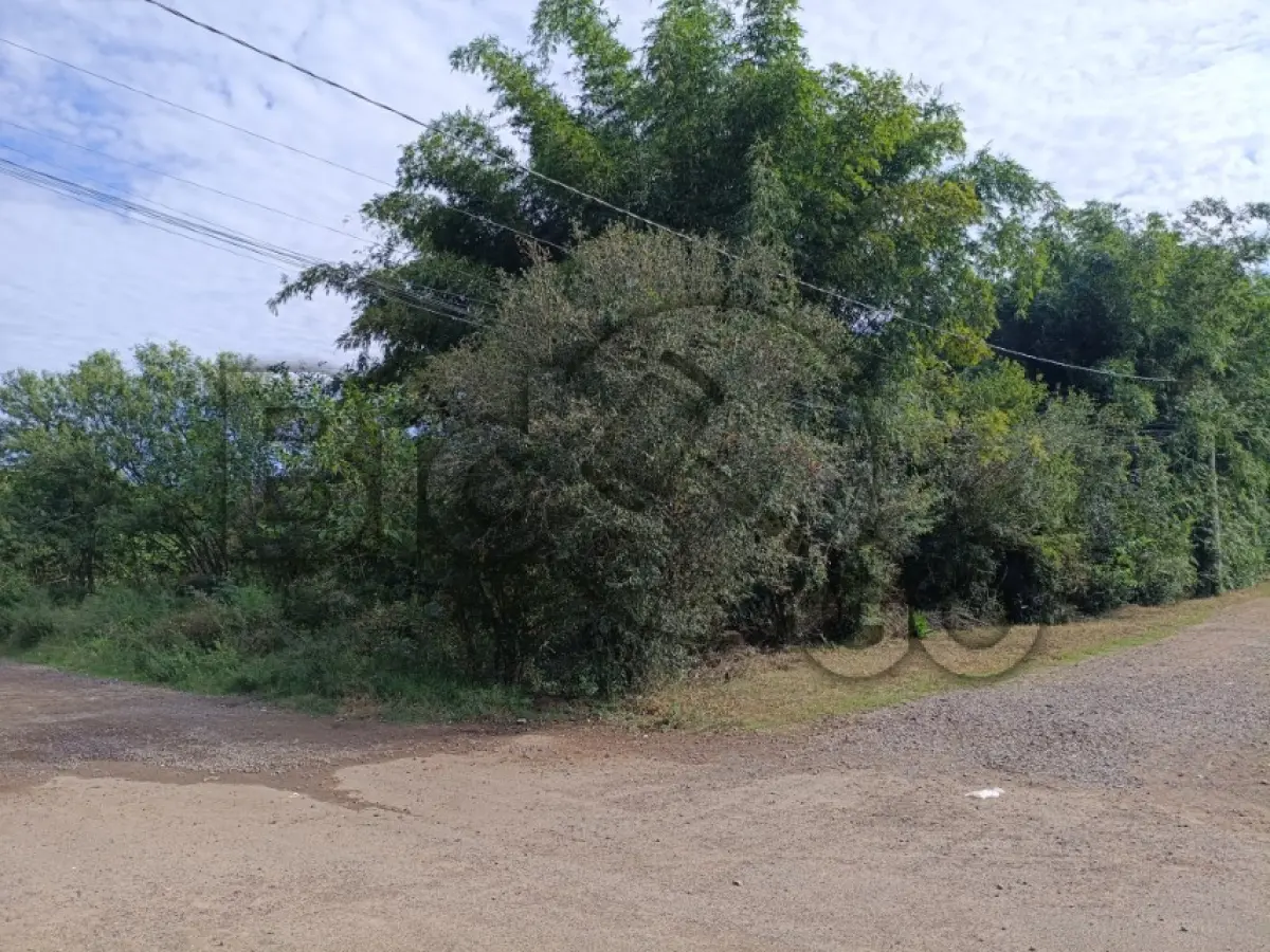 LOTE 004 - Rua Arnoldo Schmidt, Lomba Grande, Terreno: 7.853,50 m²