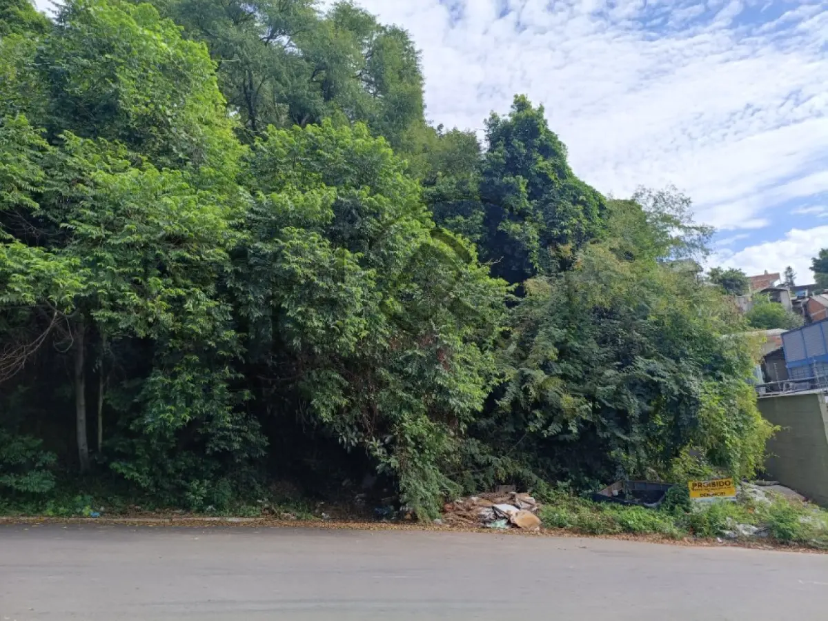 LOTE 003 - Rua Geny Hack S/N, Canudos, Terreno: 2.423,81 m²