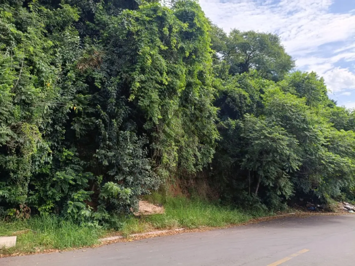 LOTE 003 - Rua Geny Hack S/N, Canudos, Terreno: 2.423,81 m²
