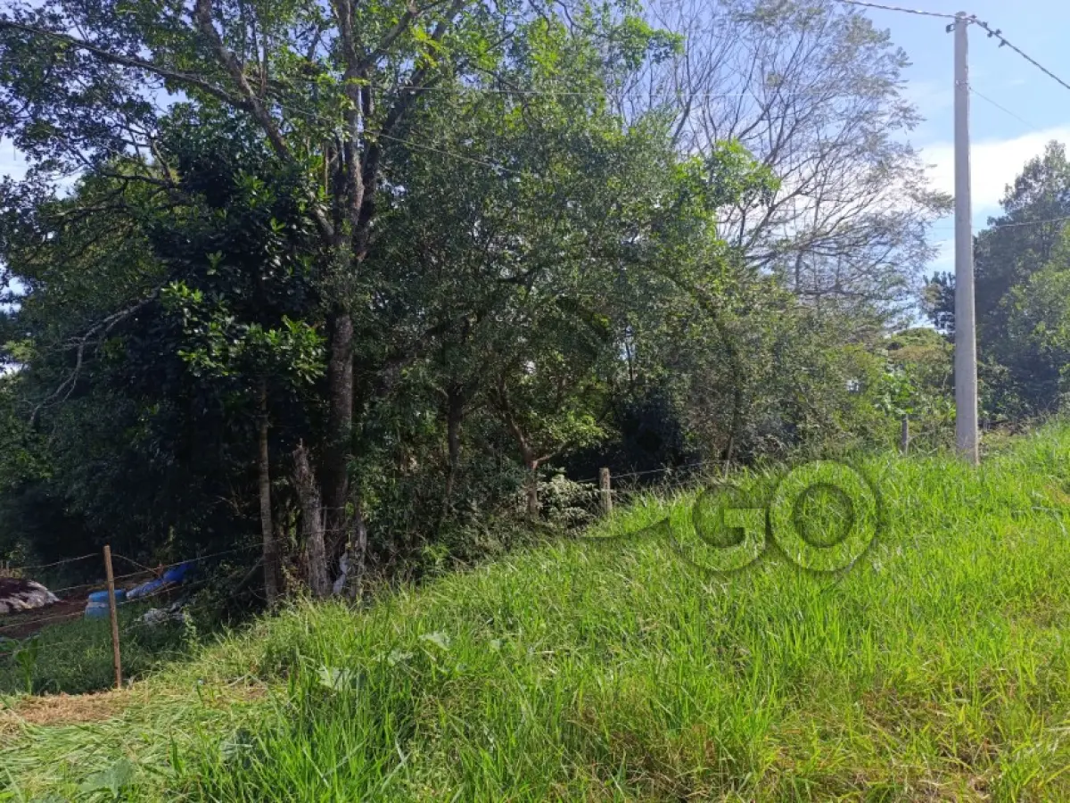 LOTE 001 - Rua Planalto, Lomba Grande, Terreno: 29.582,74 m²,