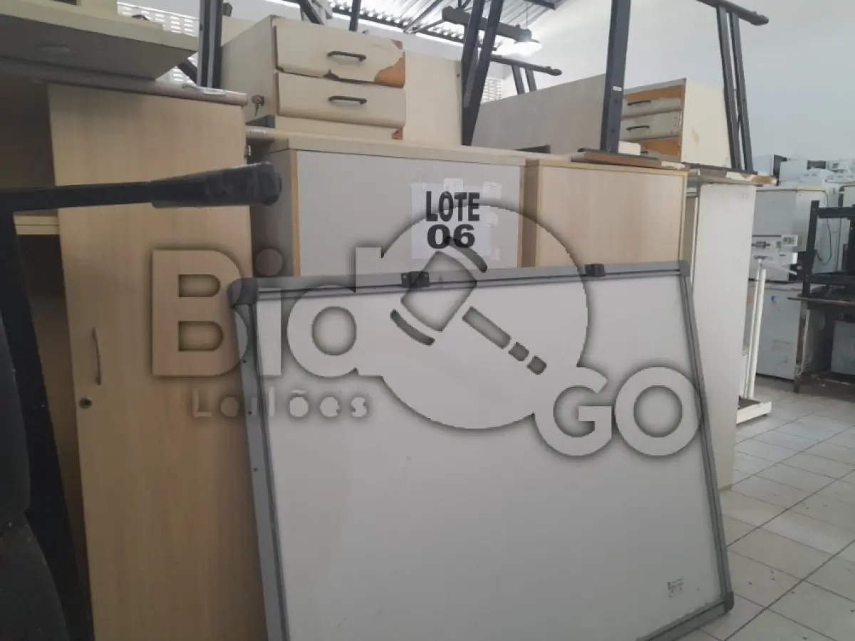LOTE 006 - DIVERSOS BENS MÓVEIS