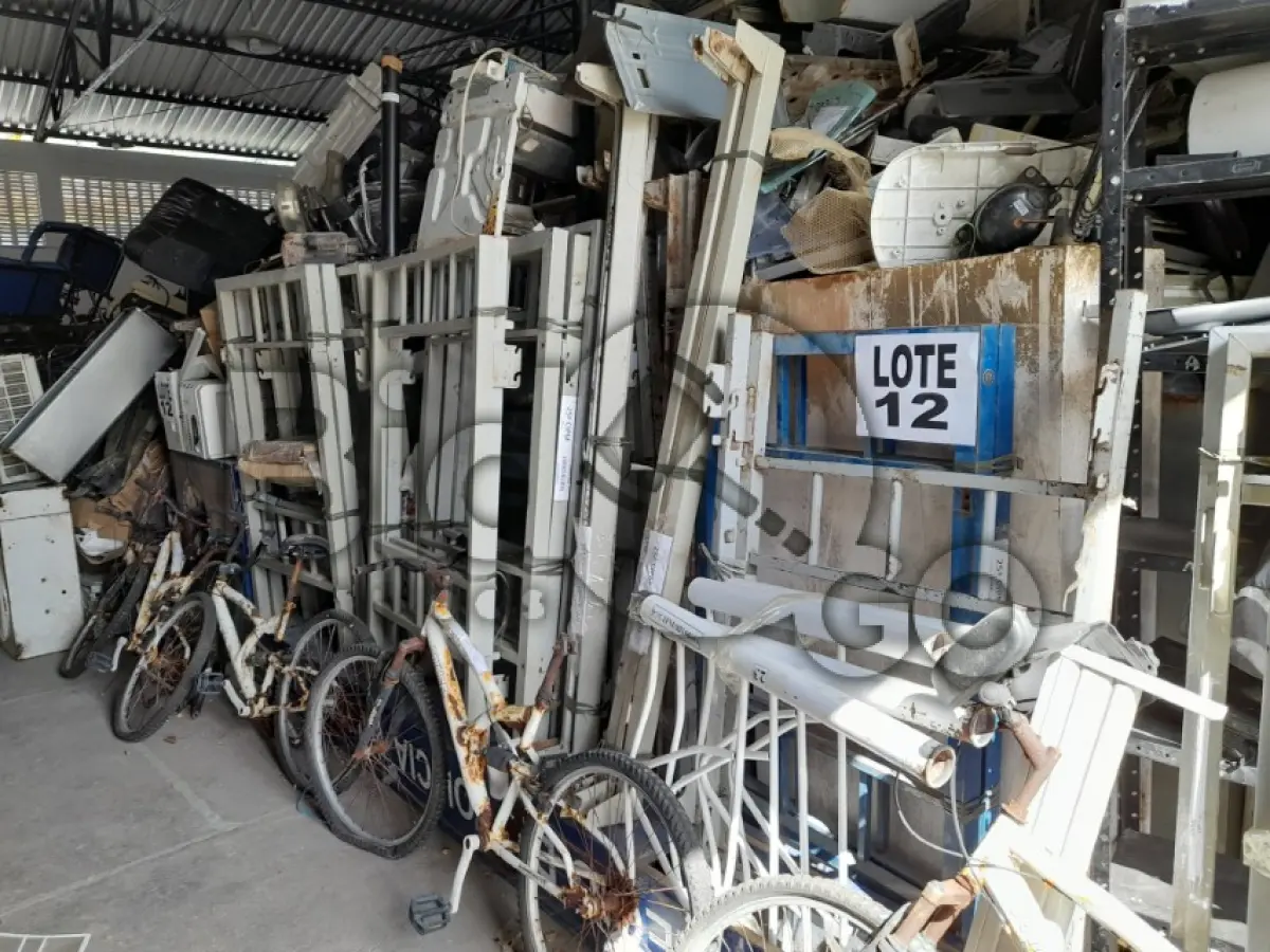 LOTE 012 - UCATA FERROSA