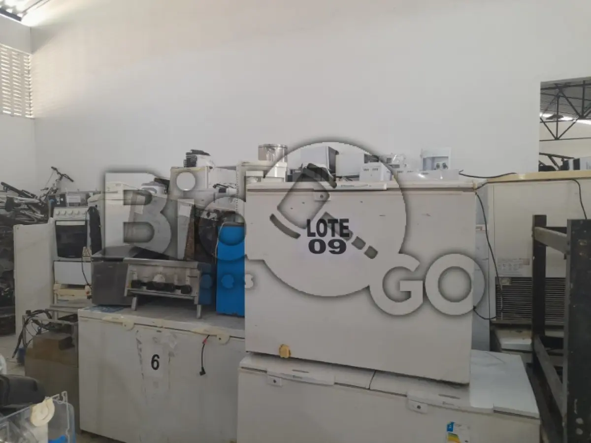 LOTE 009 - DIVERSOS BENS MÓVEIS