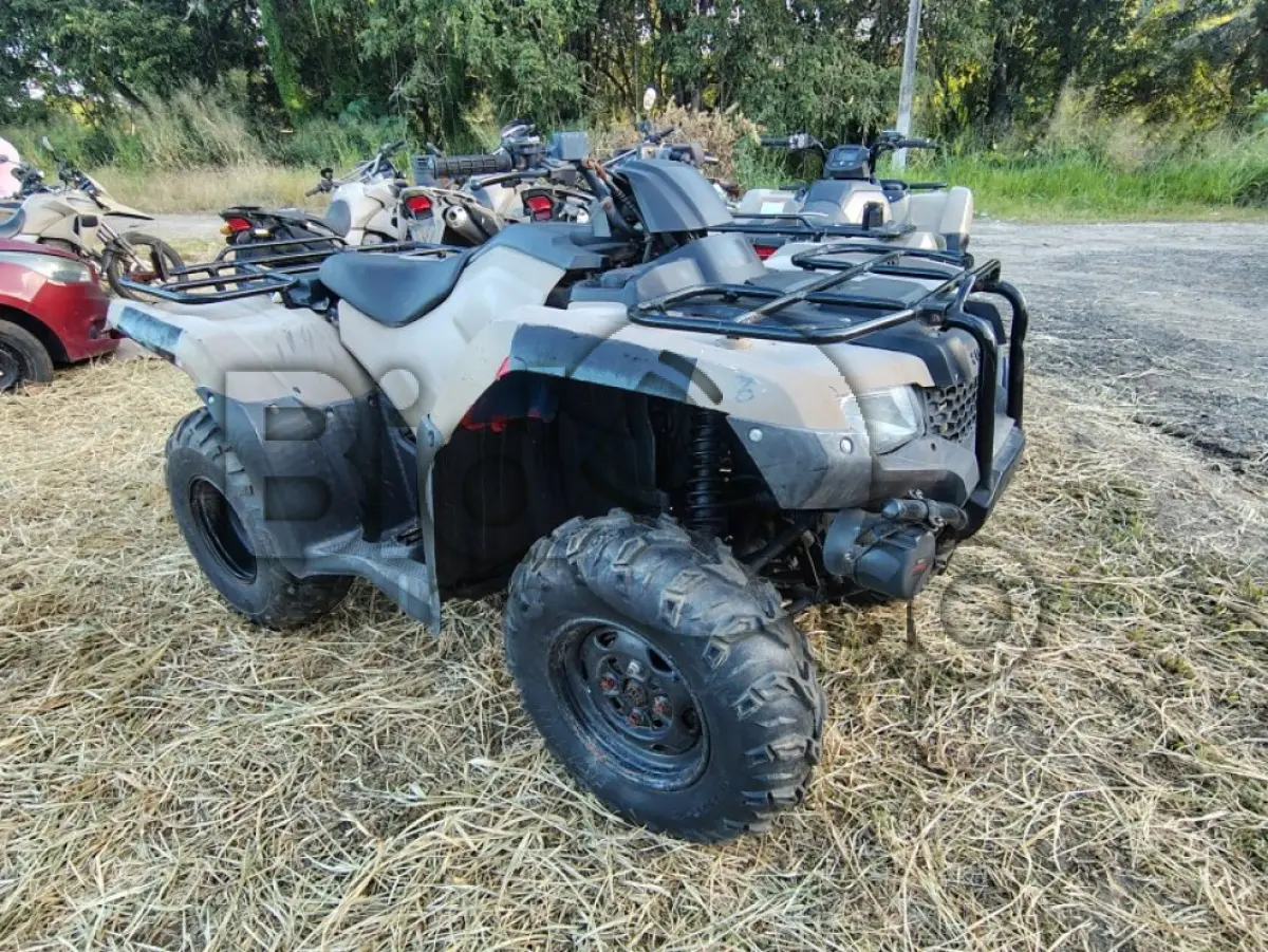 LOTE 001