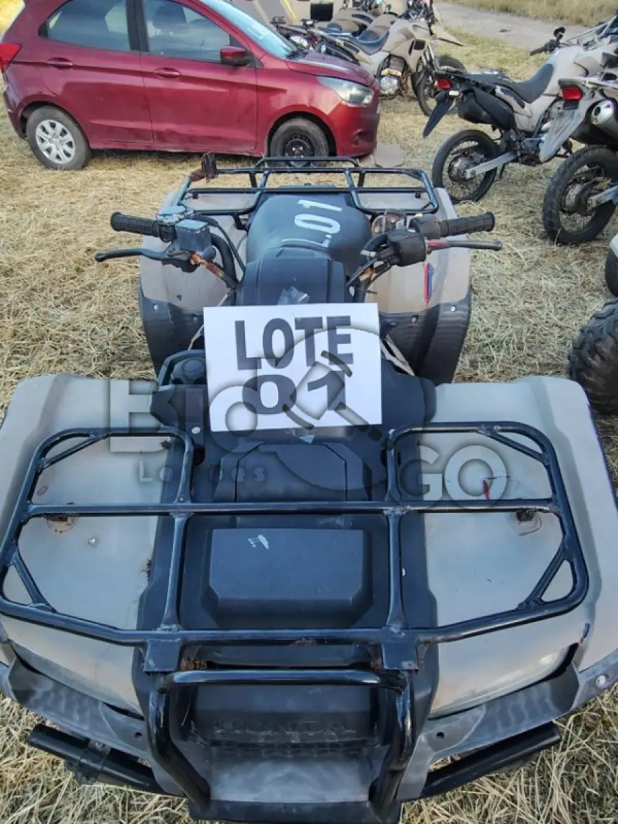 LOTE 001 - HONDA/TRX 420 FM FOURTRAX