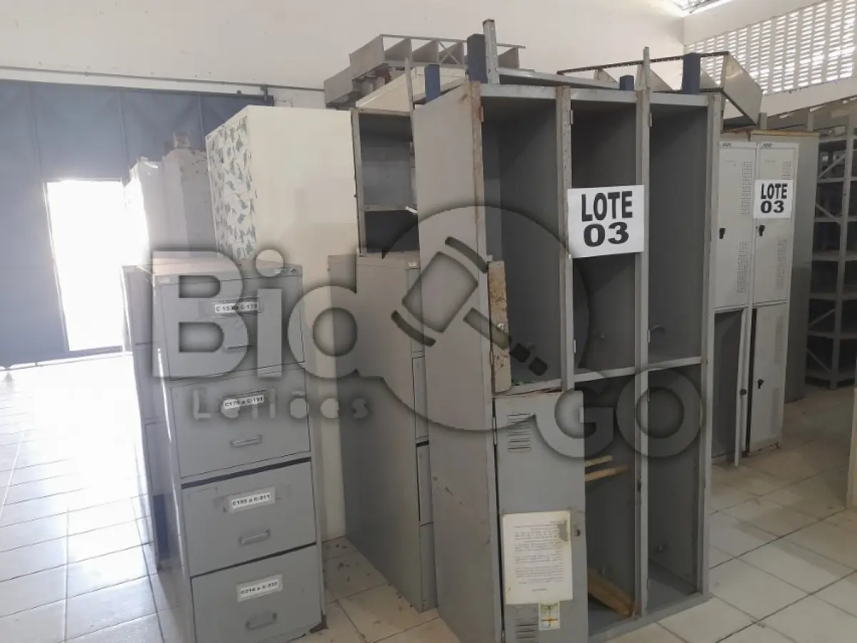 LOTE 003 - DIVERSOS BENS MÓVEIS