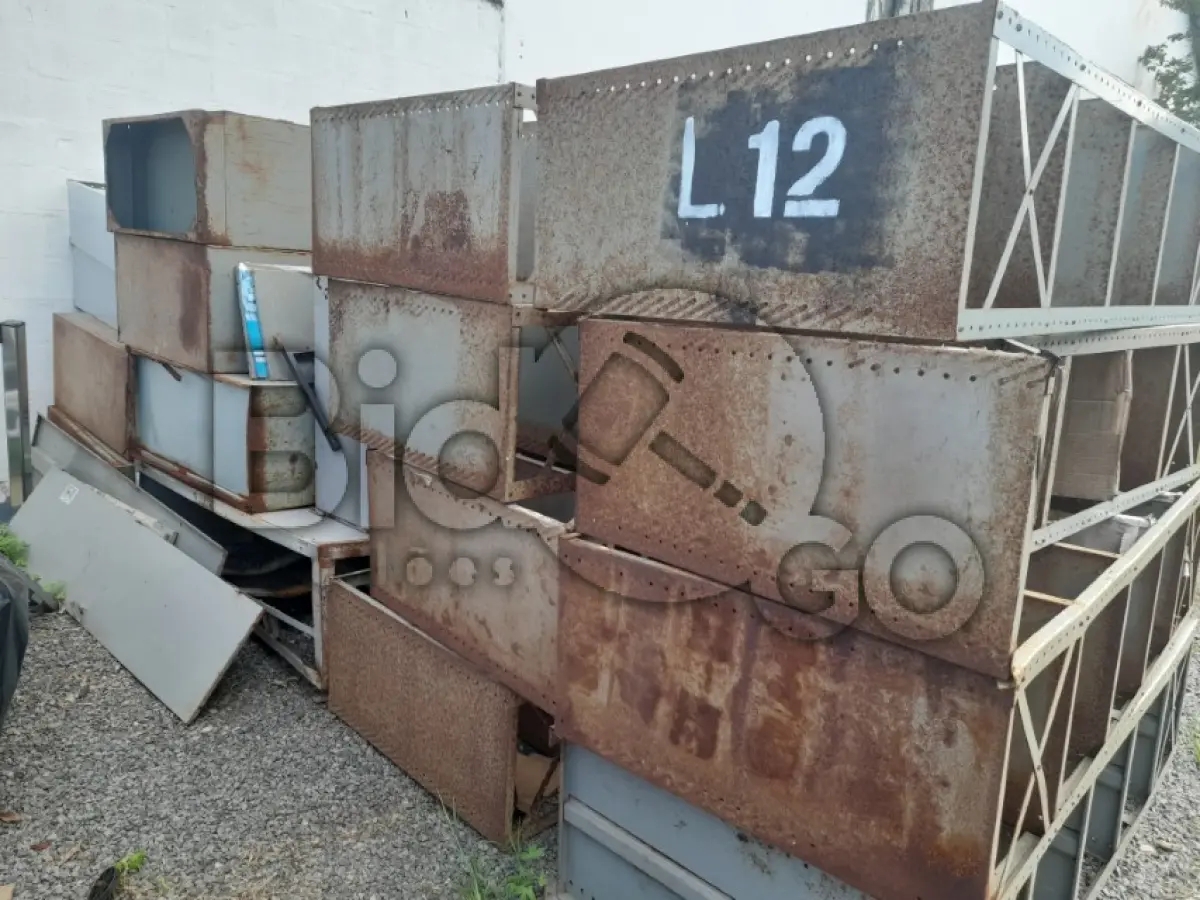 LOTE 012 - UCATA FERROSA
