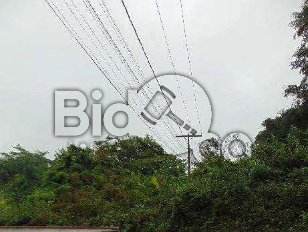 LOTE 006 - Imóvel situado na Rua Otto Boehm (prolongamento), S/N - Bairro Glória,Joinville / SC - Terreno com área de 4.121,00m², sem benfeitorias.