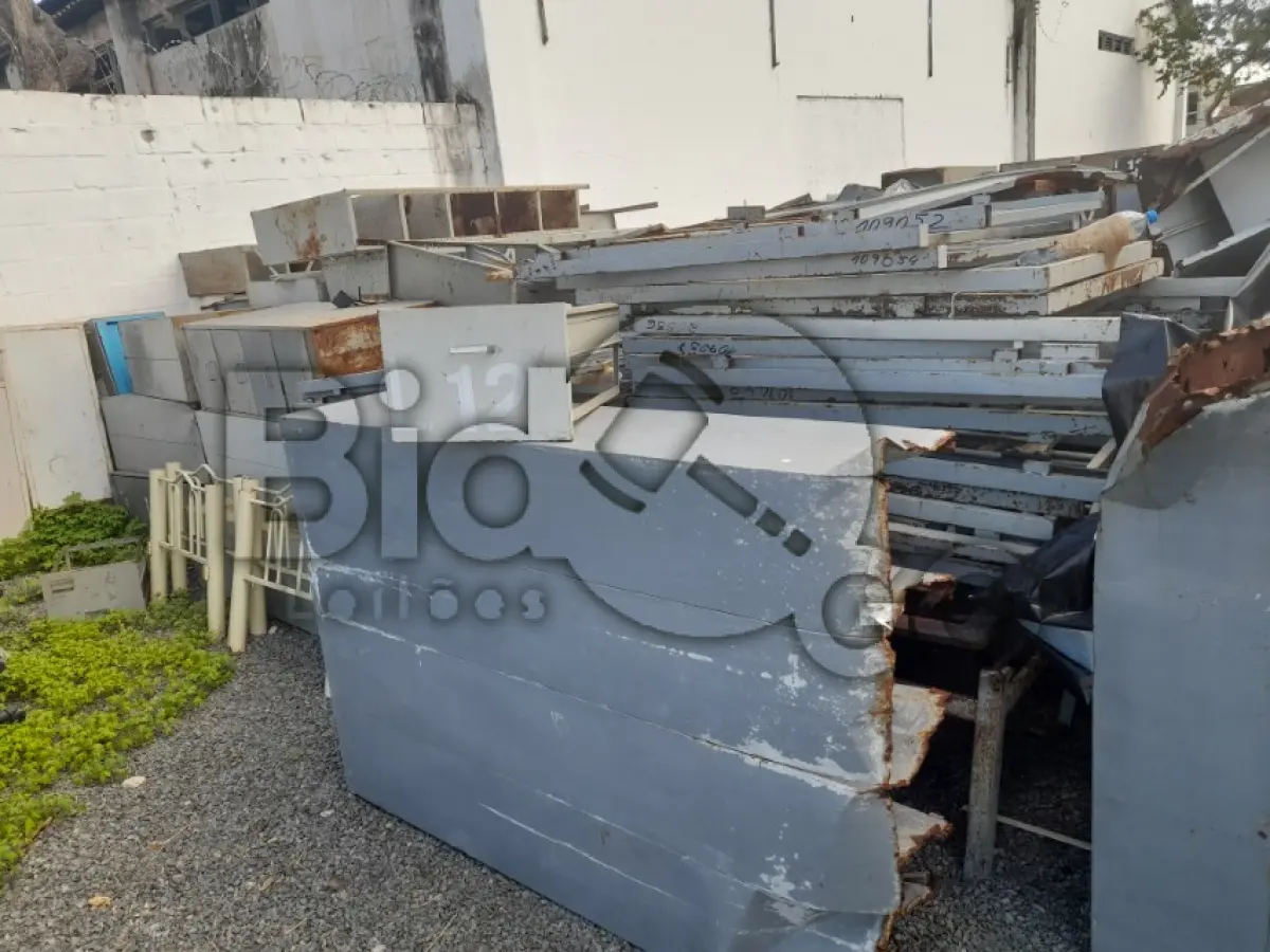 LOTE 012 - UCATA FERROSA