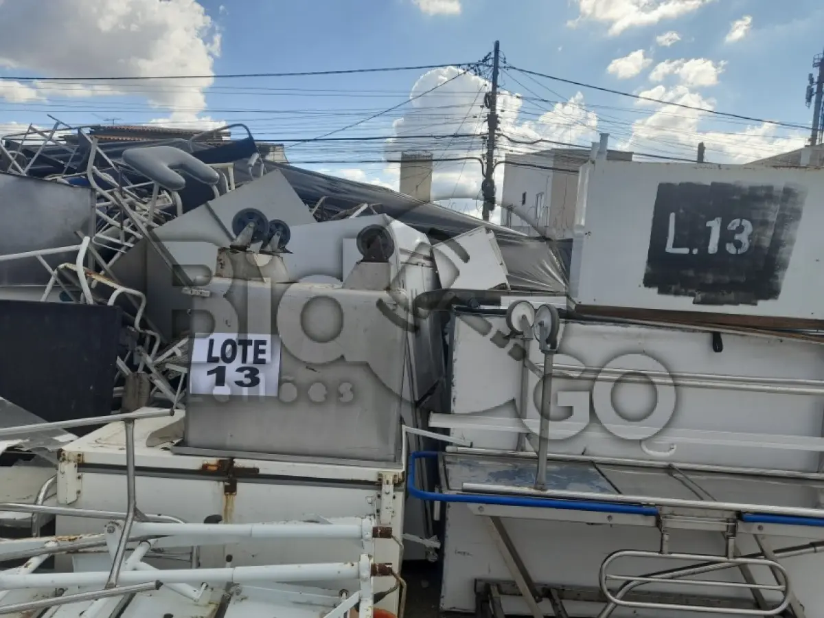 LOTE 012 - UCATA FERROSA