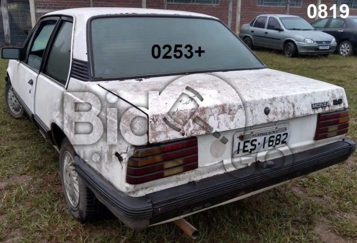 LOTE 253 - SUCATAS AUTOMOTIVAS