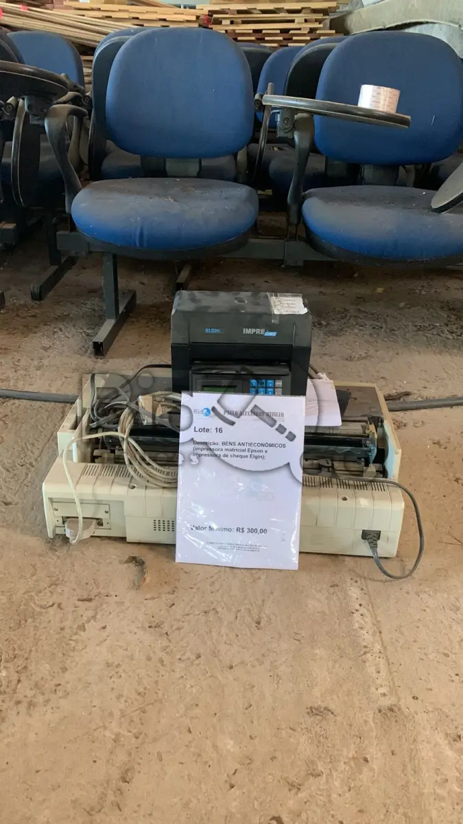 LOTE 016 - BENS ANTIECONÔMICOS