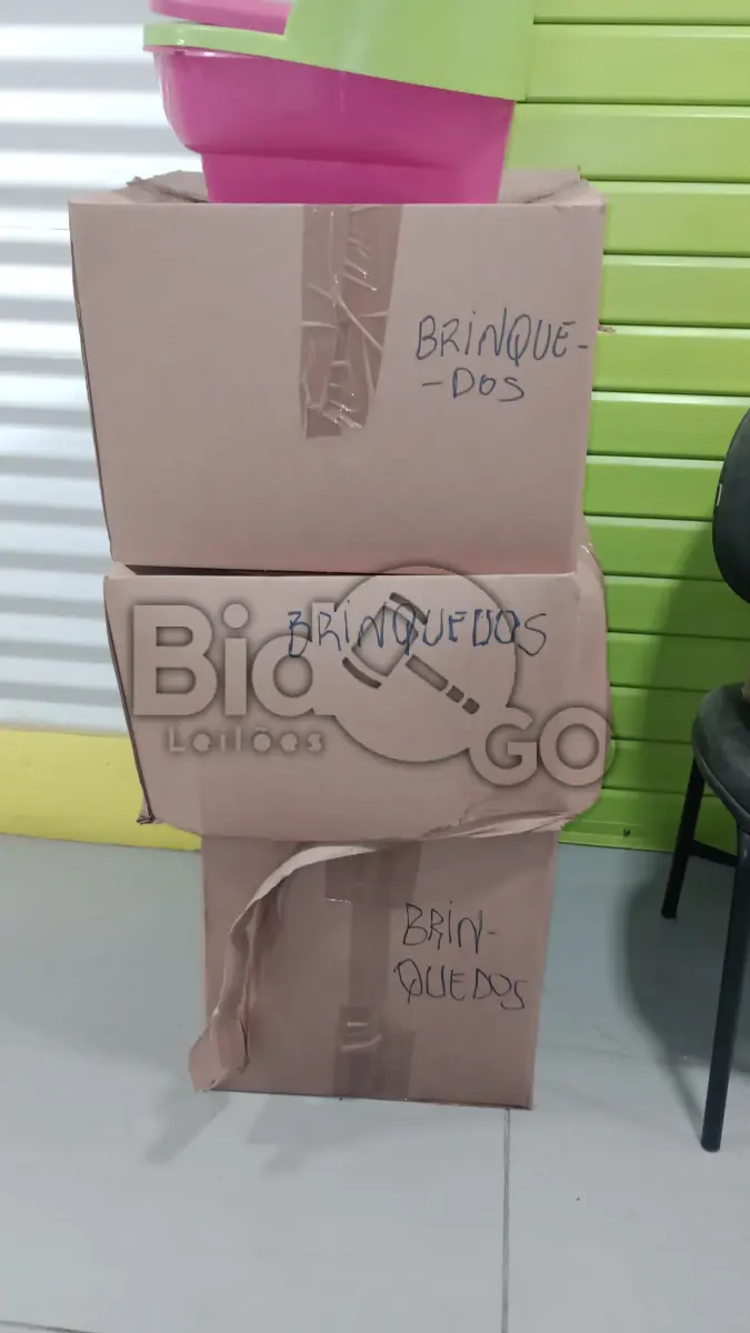 LOTE 001 - DIVERSOS BENS