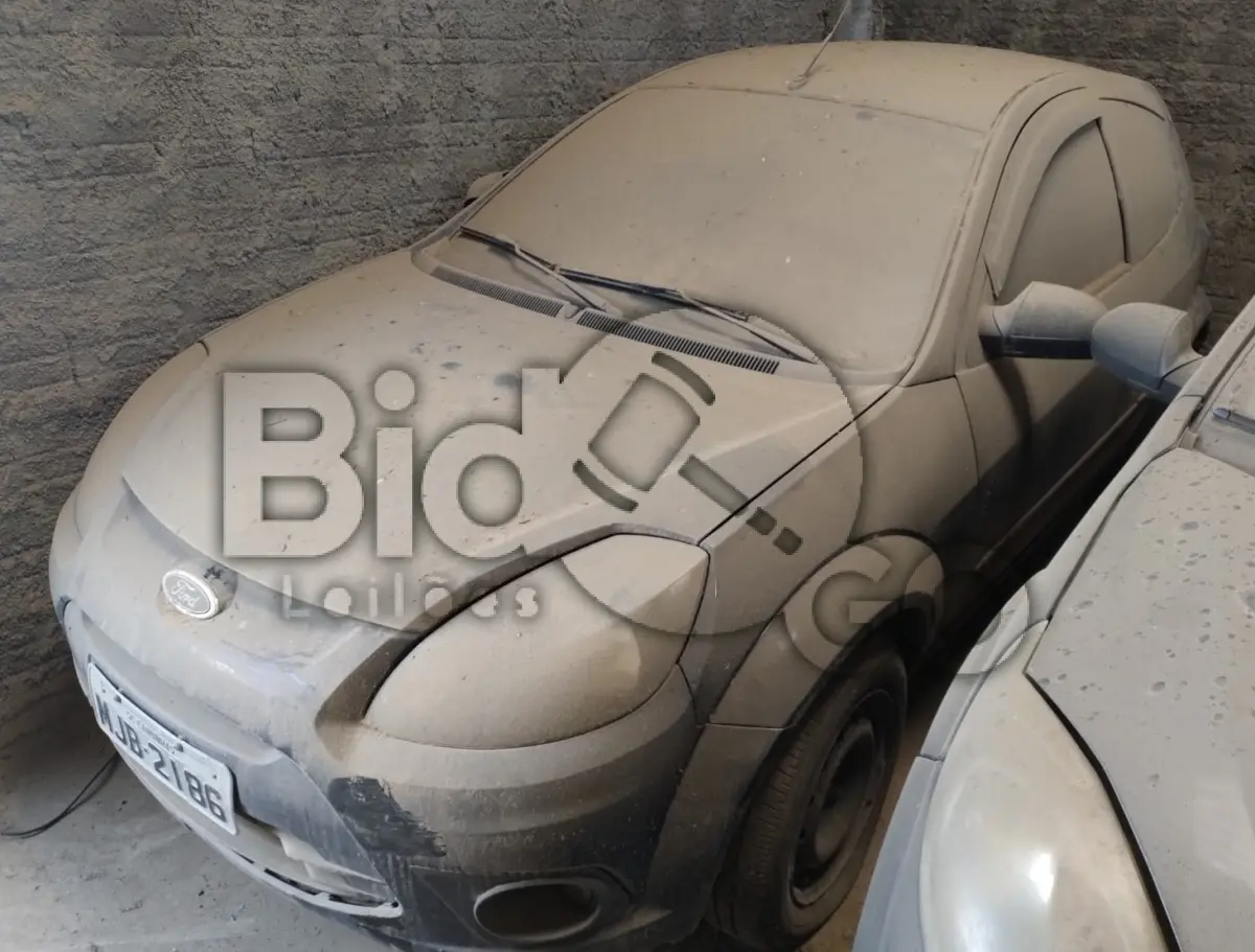 LOTE 012 - KA FLEX
