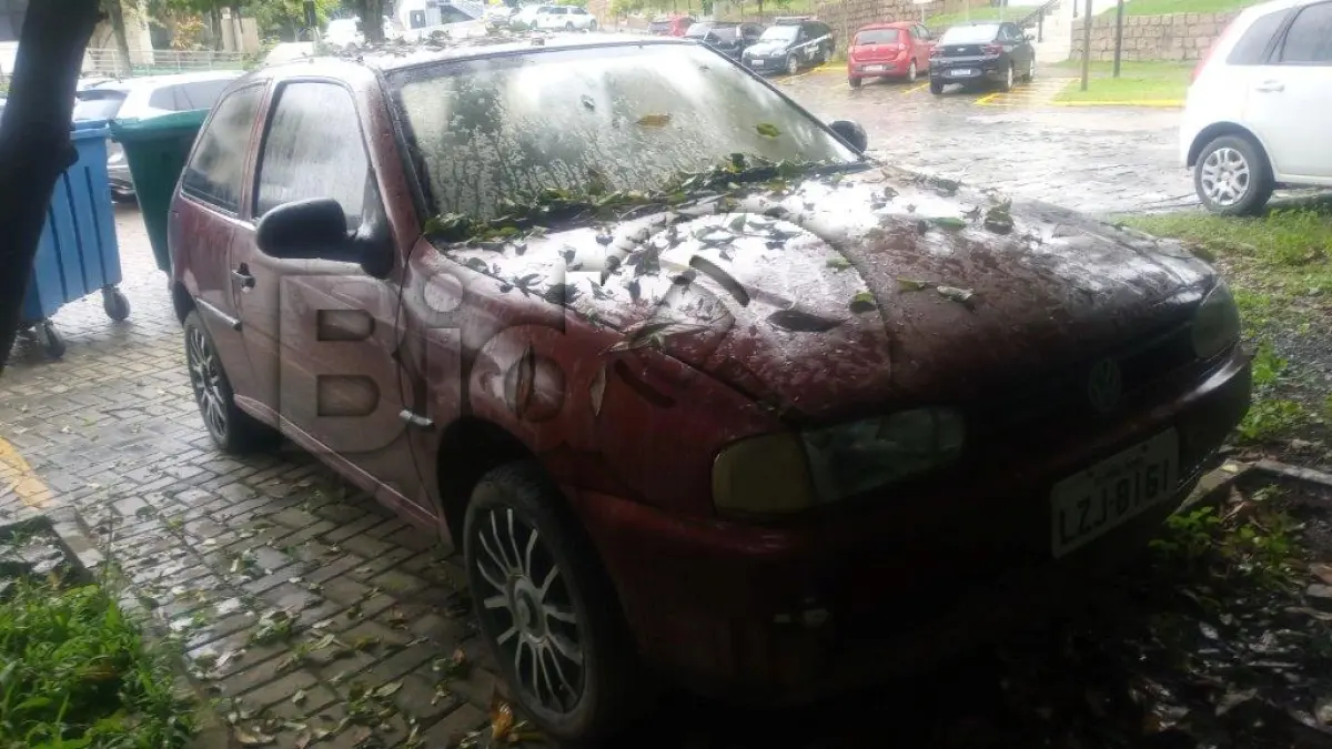 LOTE 011 - GOL MI