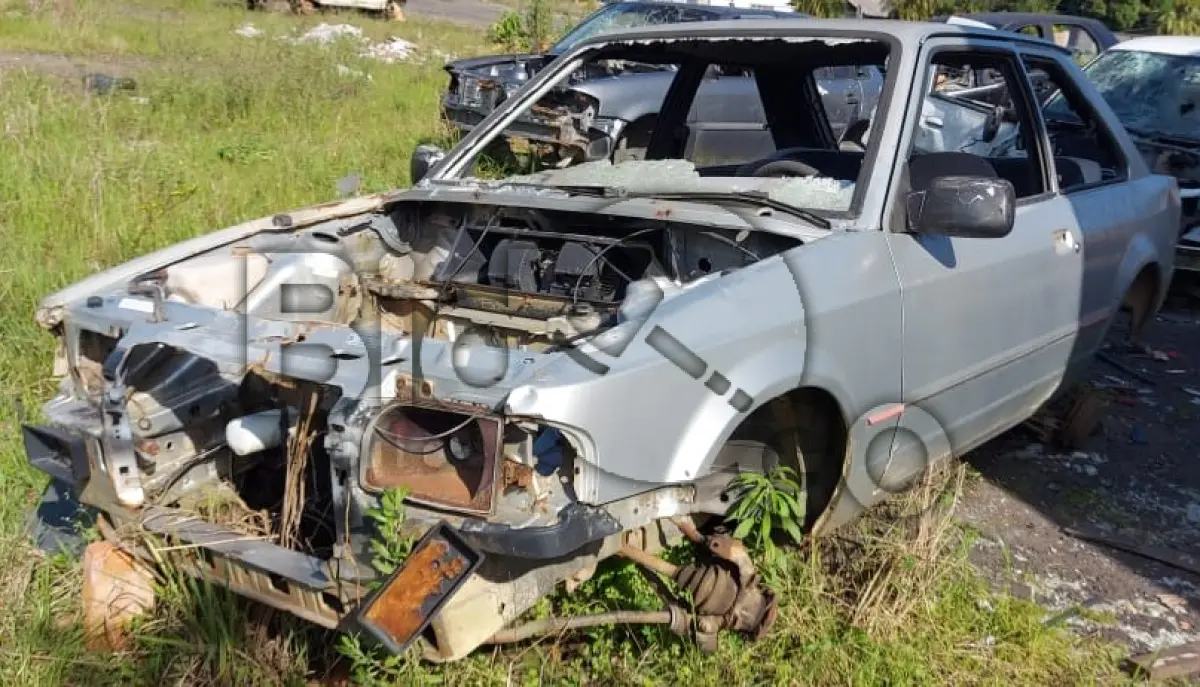 LOTE 029 - SUCATA AUTOMOTIVA