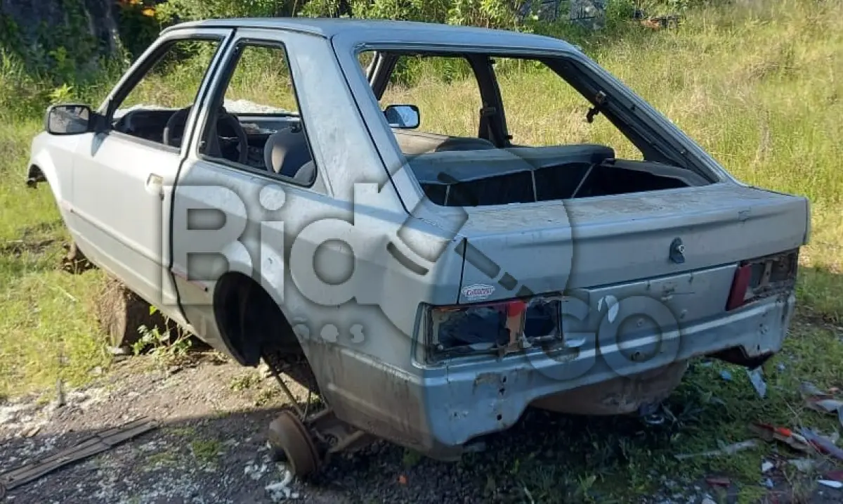 LOTE 029 - SUCATA AUTOMOTIVA
