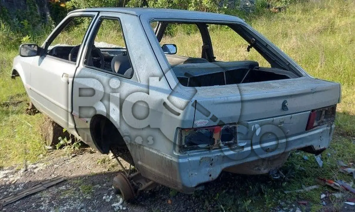 LOTE 029 - SUCATA AUTOMOTIVA