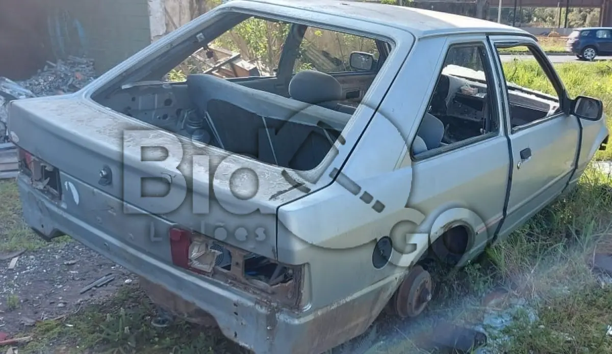 LOTE 029 - SUCATA AUTOMOTIVA