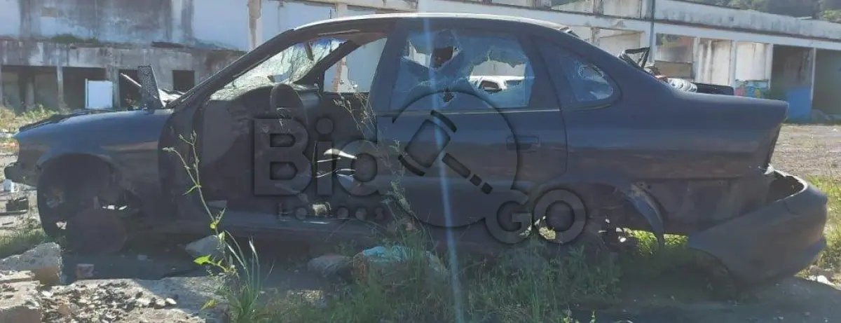 LOTE 030 - SUCATA AUTOMOTIVA