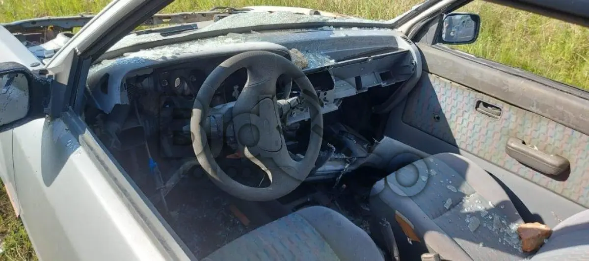 LOTE 029 - SUCATA AUTOMOTIVA