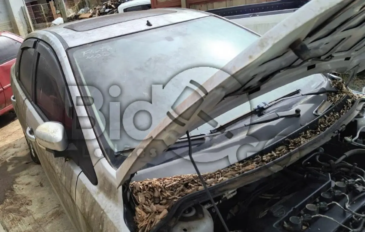 LOTE 003 - Espécie: PASSAGEIRO / Marca: I / Modelo: FORD FOCUS GHIA 2.0LFC / Placa: EIA1J25 / UF: RS / Município: Lagoa Vermelha / Ano fabricação: 2009 / Ano modelo: 2009 / Cor: PRATA / Chassi: 8AFFZZFFC9J260648 / Motor: AODC9J260648 / RENAVAM: 00158653149